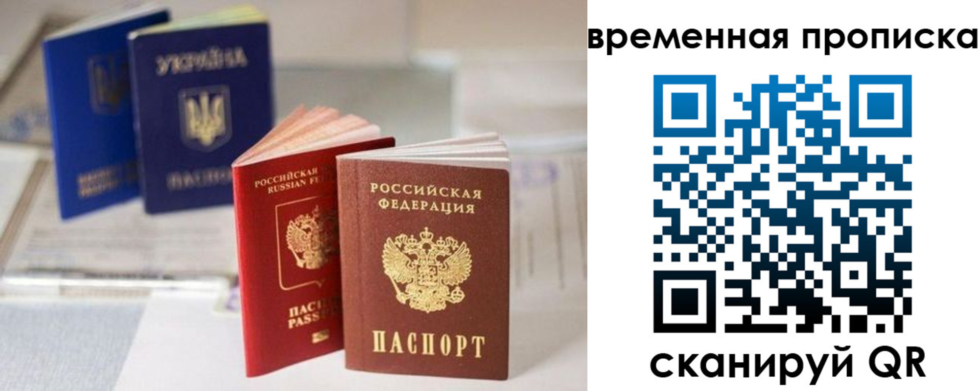 найти адрес прописки в Павловске